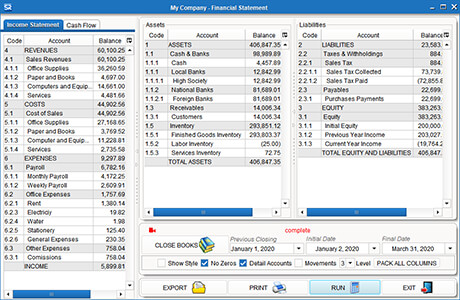 ESREAL ERP Financial Statements