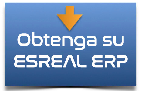 Acceso a Demo Esreal ERP 